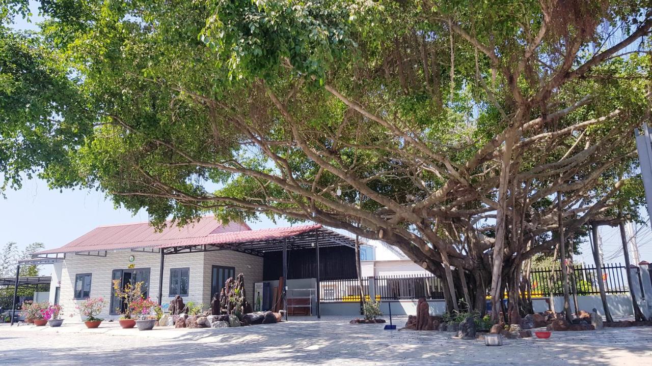 Homestay Thao Nguyen Xanh Lang Van Ke Kültér fotó